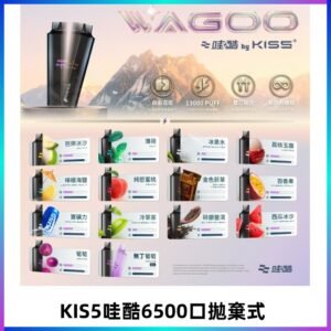 Kis5電子煙 Kiss拋棄式哇酷|WAGOO6500口一次性電子煙