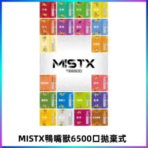 MIST X 鴨嘴獸6500口拋棄式電子煙#台灣現貨#